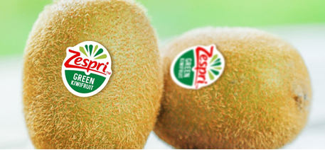 Can I Eat The Skin Of Kiwifruit キウイフルーツの皮は食べてもいい 国際大学 Ipu ニュージーランド
